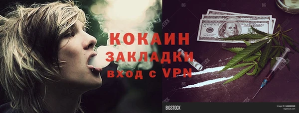 прущие грибы Нефтекумск