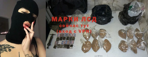 прущие грибы Нефтекумск