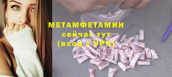 прущие грибы Нефтекумск