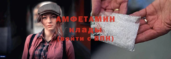 прущие грибы Нефтекумск