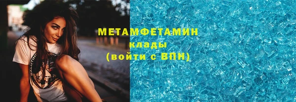 прущие грибы Нефтекумск