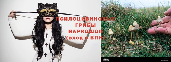 тгк Нефтегорск