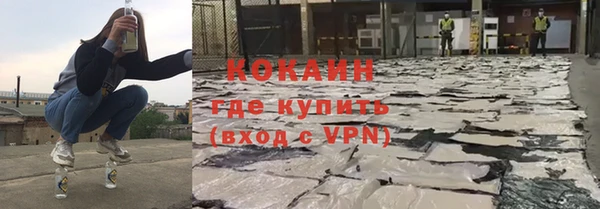 прущие грибы Нефтекумск