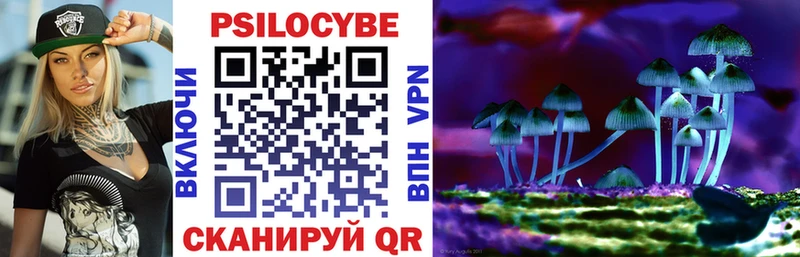 где купить наркоту  гидра как зайти  Псилоцибиновые грибы ЛСД  Берёзовский 